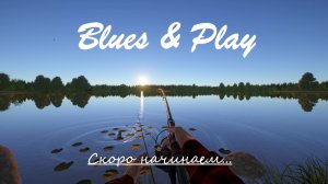 Озеро медное! Карпы и лини!