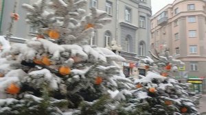 " Мандариновое настроение " на Арбате : площадки проекта " Зима в Москве  "- 2026