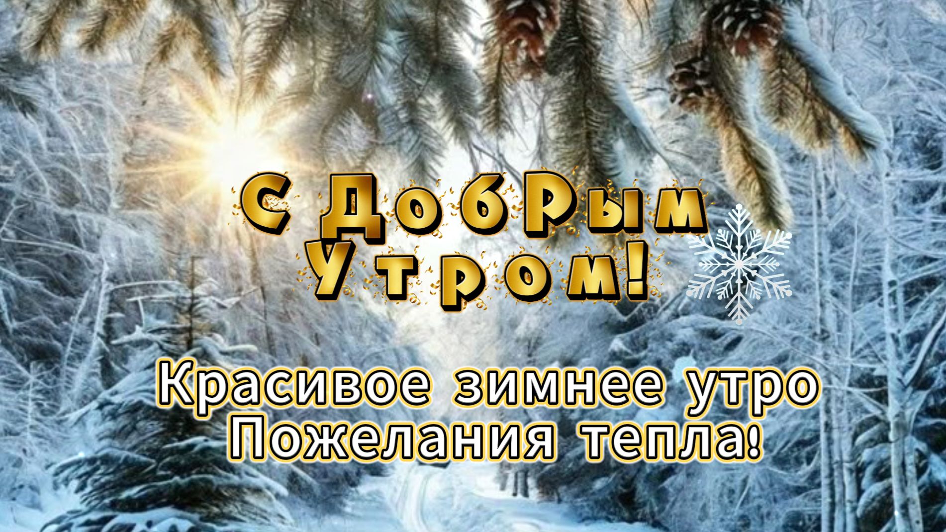 Красивое зимнее утро пожелания тепла открытка
