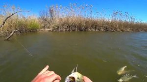 ВОТ ЭТО РЫБАЛКА! ОЧЕНЬ МНОГО РЫБЫ, КЛЮЁТ НА ВСЁ! НА РЫБАЛКУ С ЖЕНОЙ.