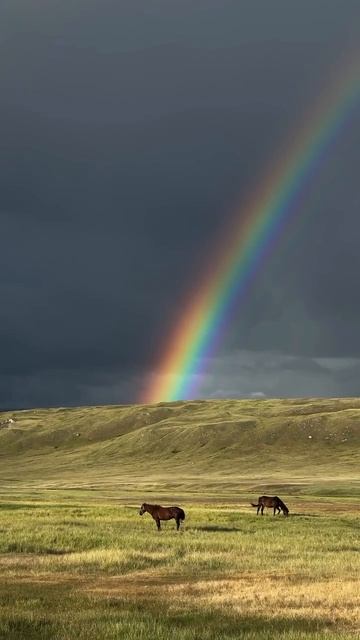 РАДУГА смотреть онлайн