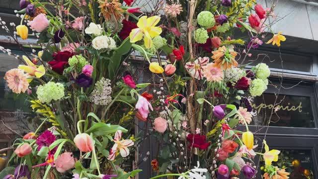 Потрясающий цветочный рай в заснеженном Стокгольме смотреть онлайн