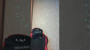 новогодние каникулы