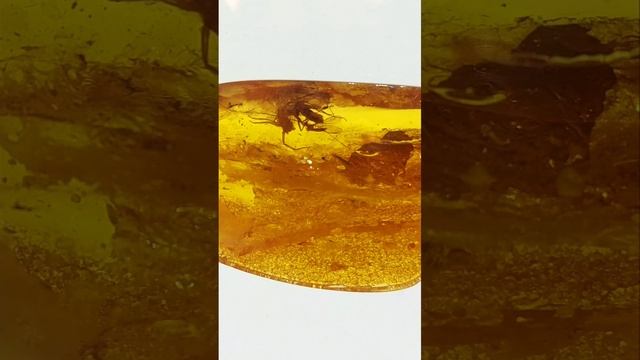 Музей Планета Океан. смотреть онлайн