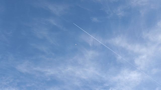 полëт голубя смотреть онлайн