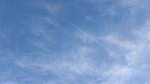 полëт голубя