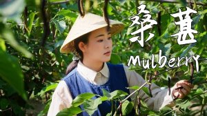 Шелковица - фиолетовый дар природы, сладкая и терпкая,с легким оттенком свежего травянистого аромата