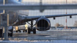 В аэропортах Домодедово и Жуковский ввели ограничения на полеты