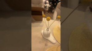 Расстояние не помеха!