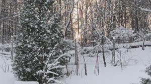 За белою рекой...