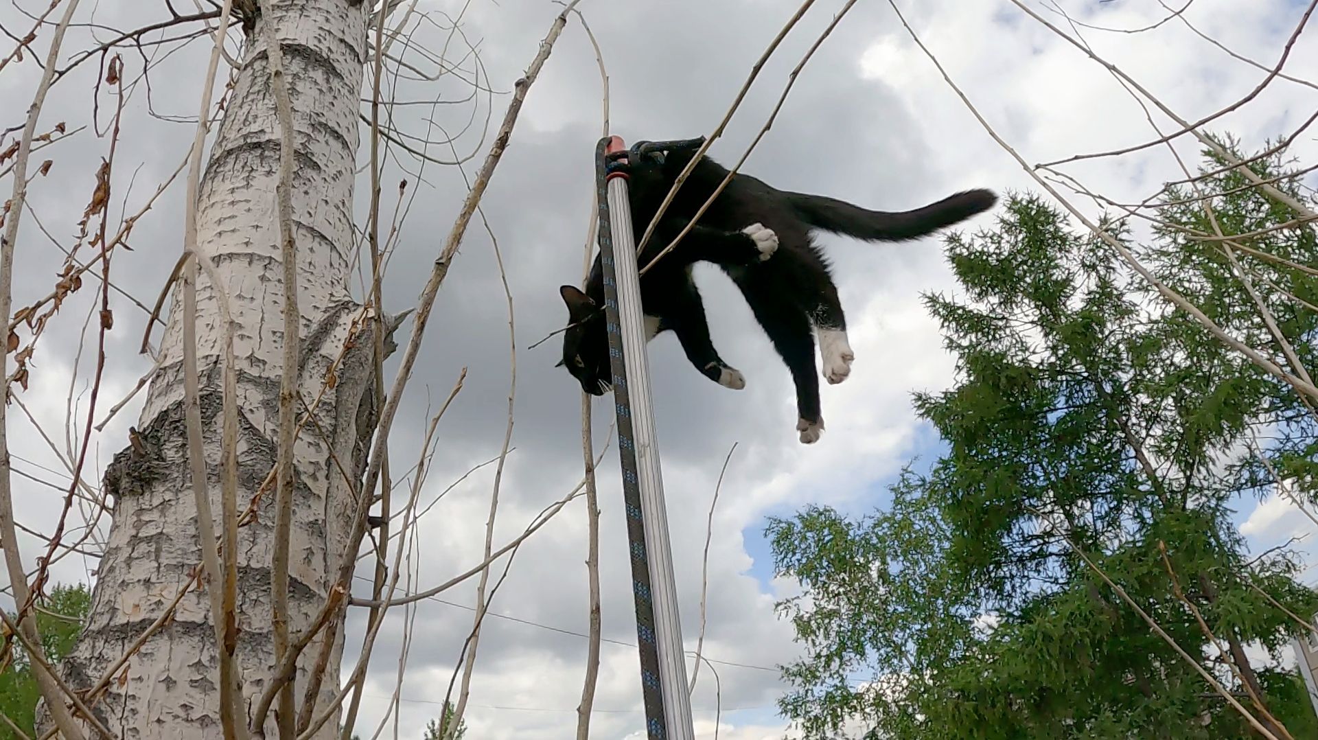 Бося.. молодой озорник смотреть онлайн