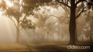 Лесозаводск.mp4