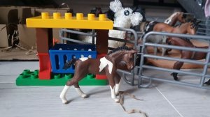 1 раунд на конкурс для arinalife