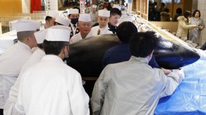 СМИ сообщили о продаже в Японии тунца за рекордную сумму