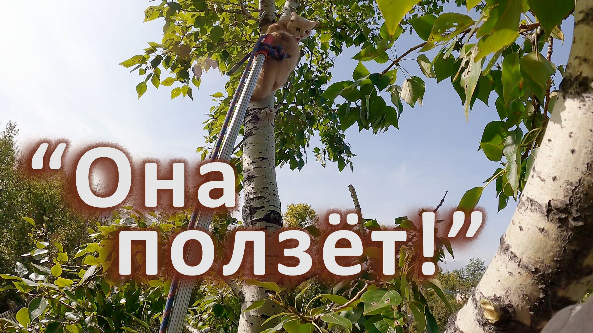 Нюша "ползёт"... смотреть онлайн