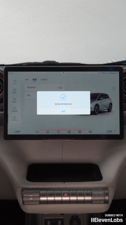 BYD Dolphin - Руководство по мониторингу давления в шинах