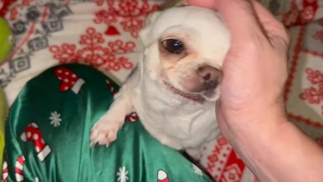 Всем наидобрейшего утречка и чудесного начала дня.