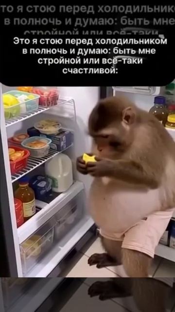 Лучше счастливой 😁 смотреть онлайн