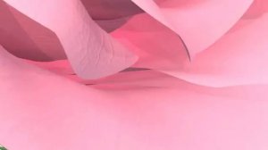 А.Бандера-Жемчужина