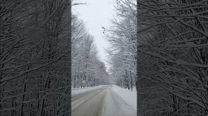 Дорога Лагонаки 30 декабря 2025