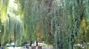 #вспомним лето