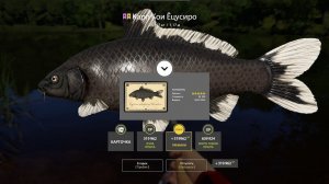 ВСЕ СУПЕР ТОЧКИ НА РАЗДАЧЕ ФАРМА НА МЕДНОМ И СЛОЖНЕЙШИЕ ЗАДАНКИ НА ЛОСИНОМ В РУССКОЙ РЫБАЛКЕ 4 РР4