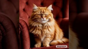 Рассказ "Слепой кот"