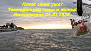 Пляж стал уже? Температура моря и пьяные фламинго! Лазаревское 05.01.2026.