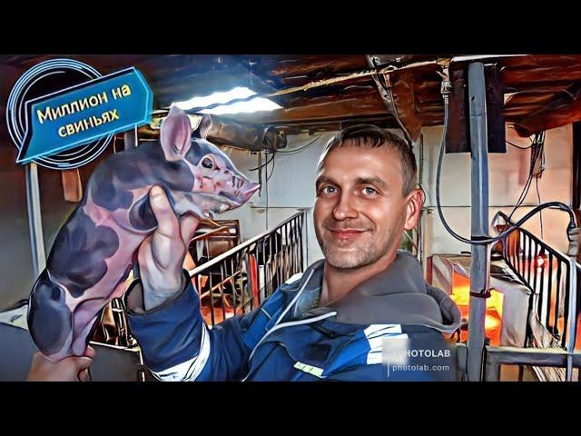 ‼️6 лет каналу "Миллион на свиньях" ‼️ смотреть онлайн
