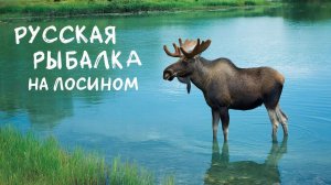 Русская рыбалка 4.На Лосином 05.01.26г.