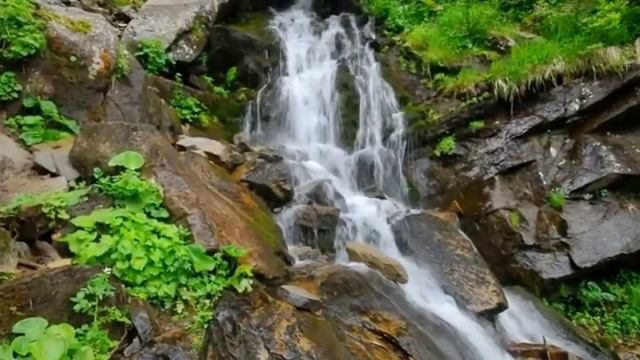 Дали неоглядные.. смотреть онлайн