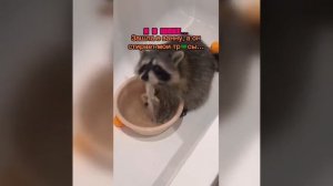 Видео от МЭН - Мне Это Нравится