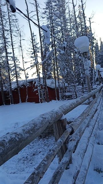 олени Талвиукко смотреть онлайн