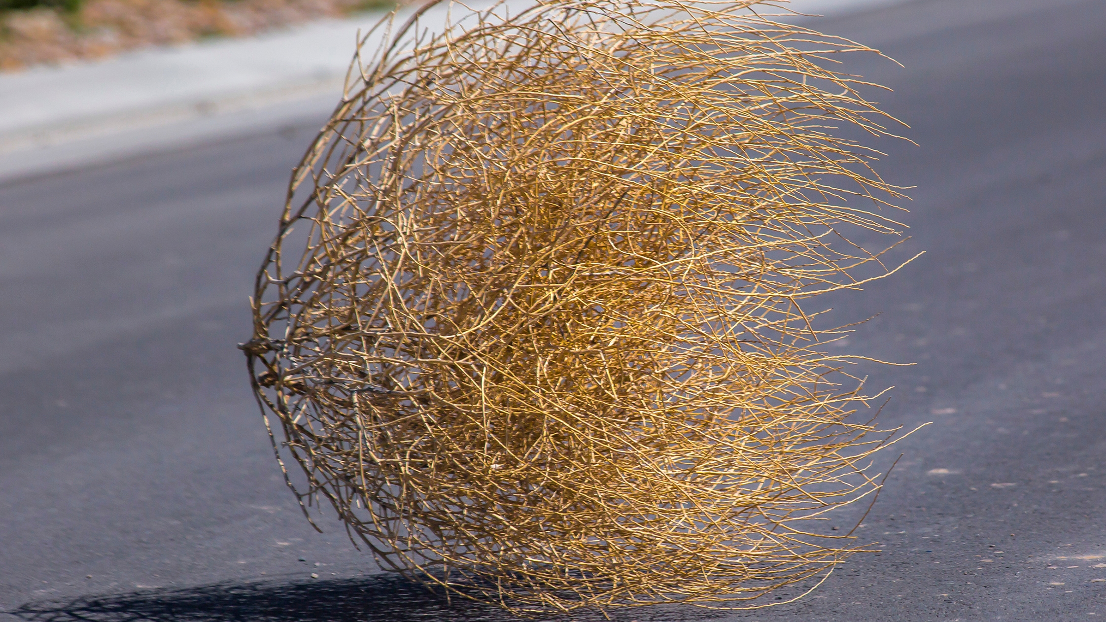 короткий ролик