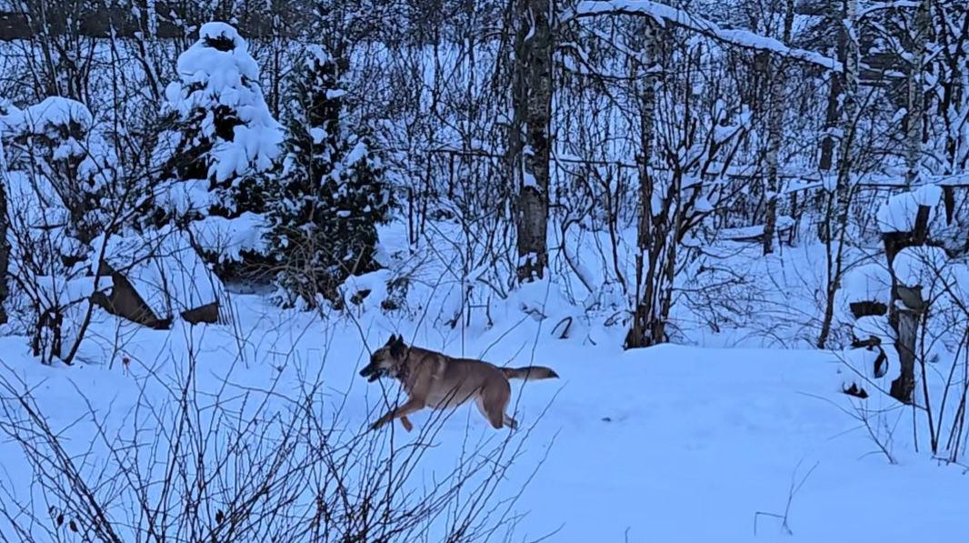 Весёлая погодка, причуды снега и неожиданная новость смотреть онлайн