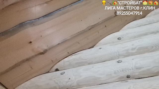 InShot_20251222_215027611 смотреть онлайн