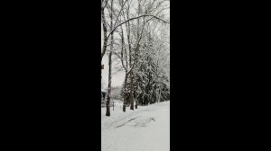 Дача Островского. В гостях у снегурки.