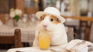 ИИ АНИМАЦИЯ