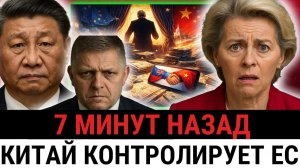 Тихий удар по ЕС; как Словакия провернула сделку с Китаем и сломала контроль изнутри?