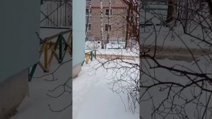 работа дворника