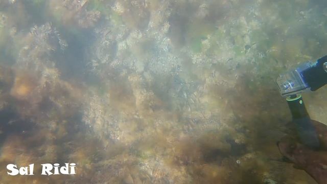 Чистый четверг и опять в море.