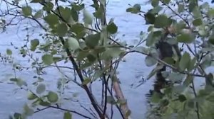 Рыбалка на реке Териберка.