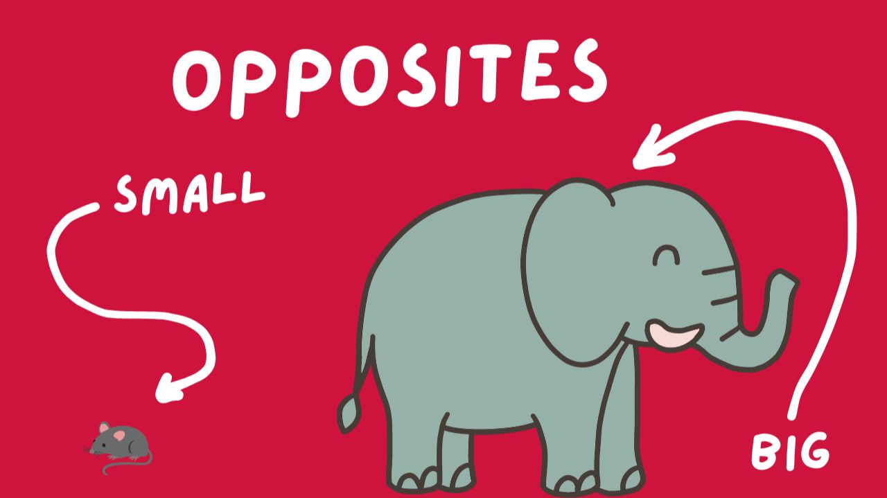 Английские антонимы | Opposites