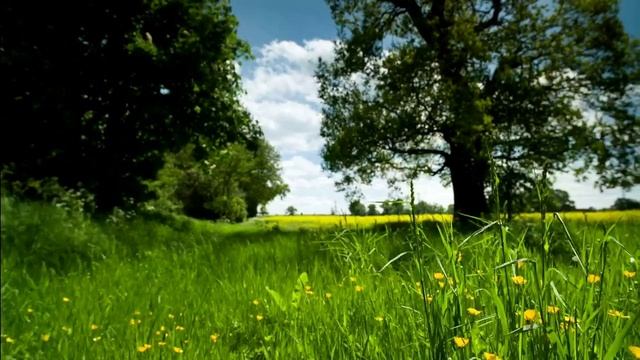 ты где то там (памяти Светланы Пугач)