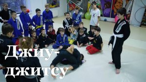 Во Всероссийских соревнованиях по джиу-джитсу примут участие 28 луганских спортсменов