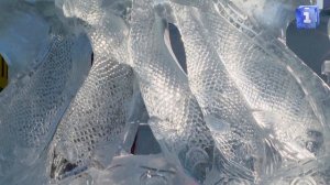 В Харбине проходит Международный Фестиваль льда и снега