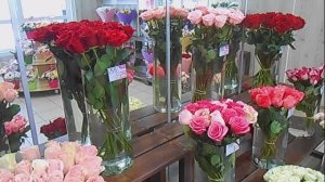 Камышин 5 янв 2026 Картина дня