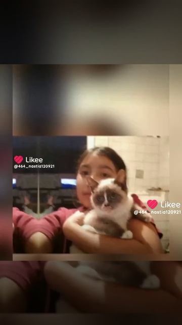 делала сома в лайке смотреть онлайн