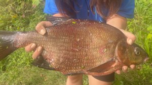 Столько рыбы мы не ожидали! Рыбалка с ночевкой