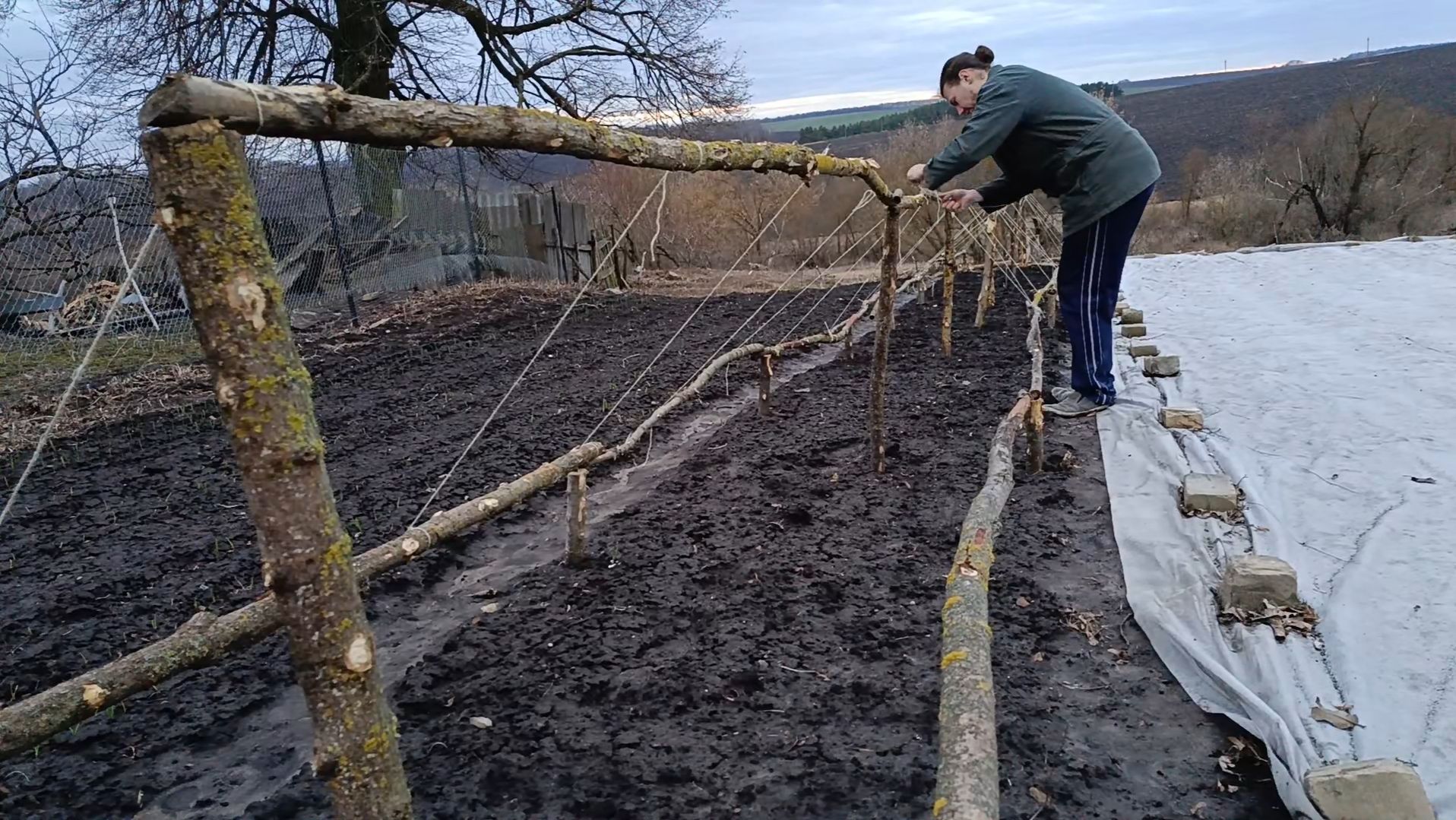 Строю бесплатную теплицу для рассады из ДРОВ в один вечер. часть 2. Март 24 2025 смотреть онлайн